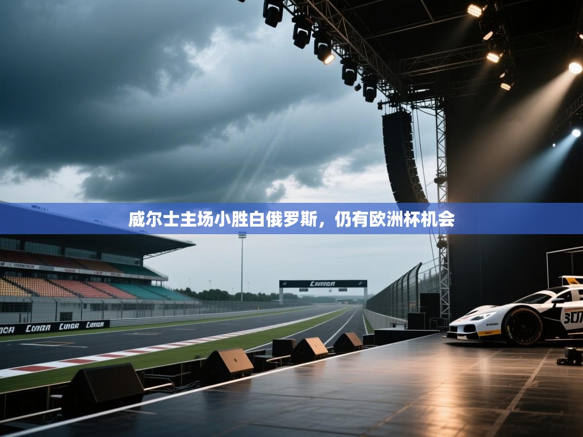 威尔士主场小胜白俄罗斯，仍有欧洲杯机会  第1张