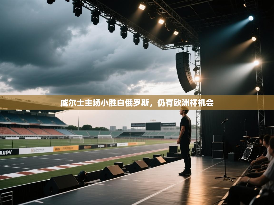 威尔士主场小胜白俄罗斯，仍有欧洲杯机会  第2张