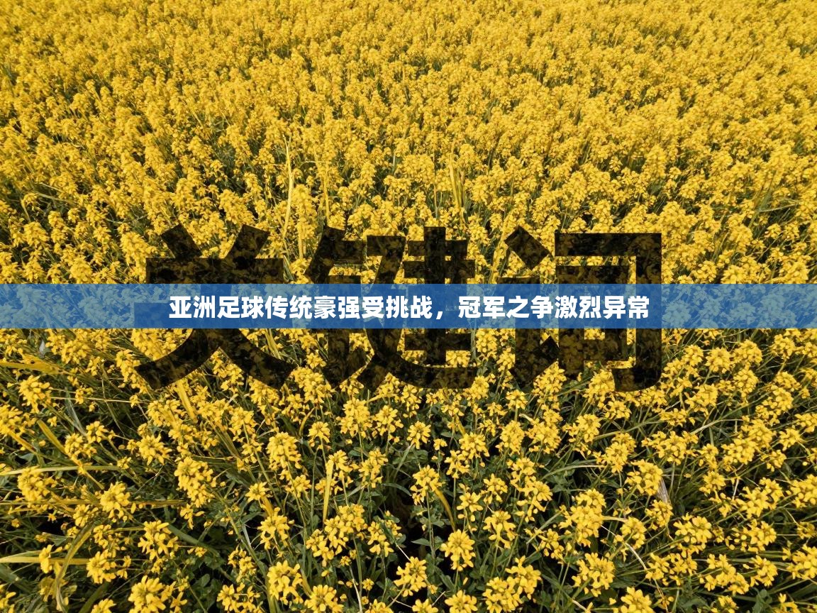 亚洲足球传统豪强受挑战，冠军之争激烈异常  第2张