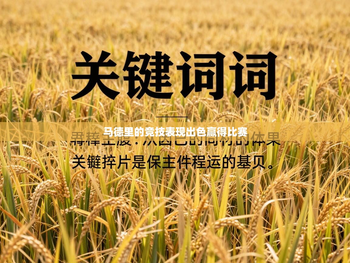 马德里的竞技表现出色赢得比赛  第1张