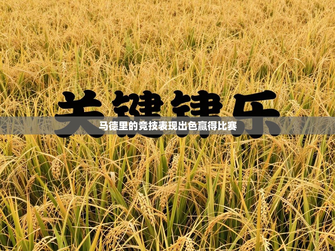 马德里的竞技表现出色赢得比赛  第2张