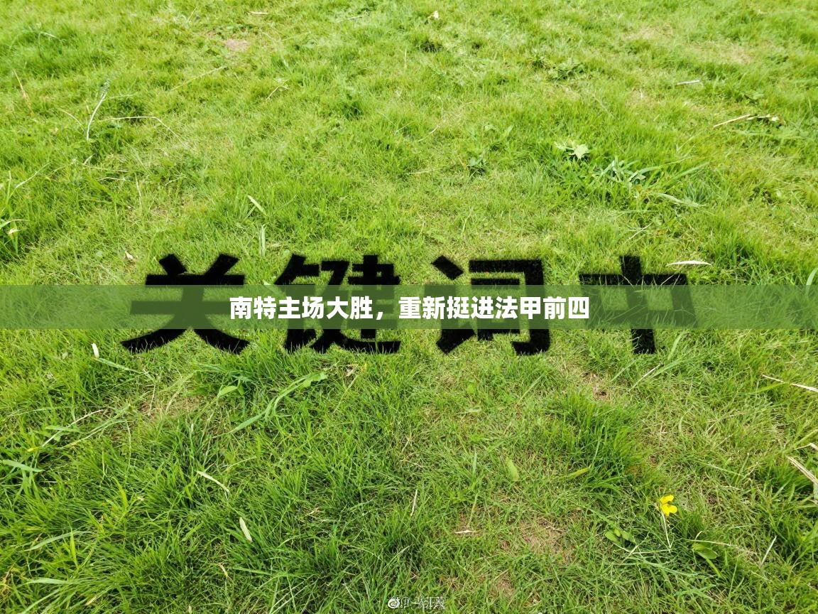 南特主场大胜,重新挺进法甲前四 第1张