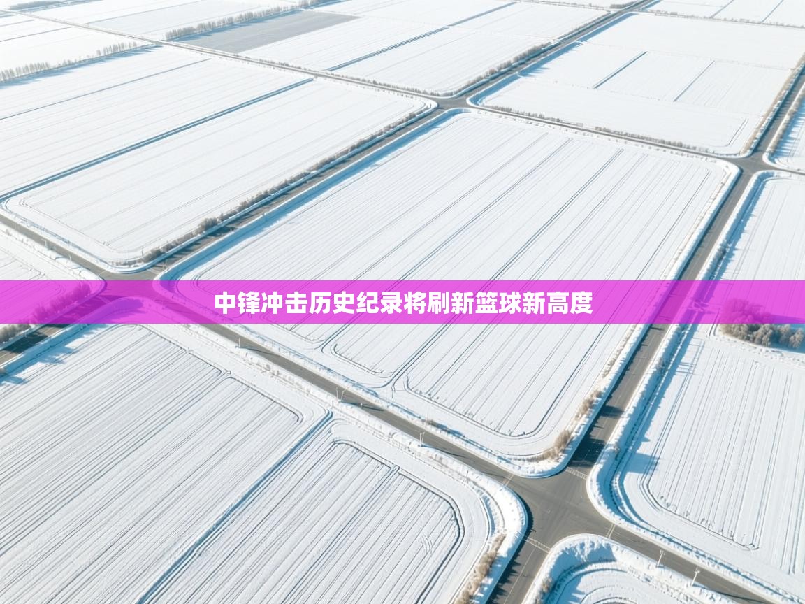 中锋冲击历史纪录将刷新篮球新高度 第1张