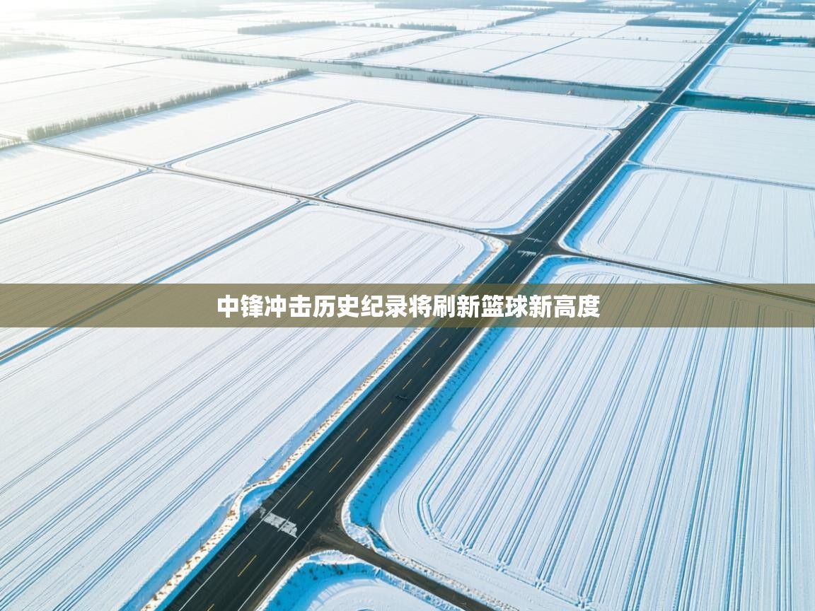 中锋冲击历史纪录将刷新篮球新高度 第2张